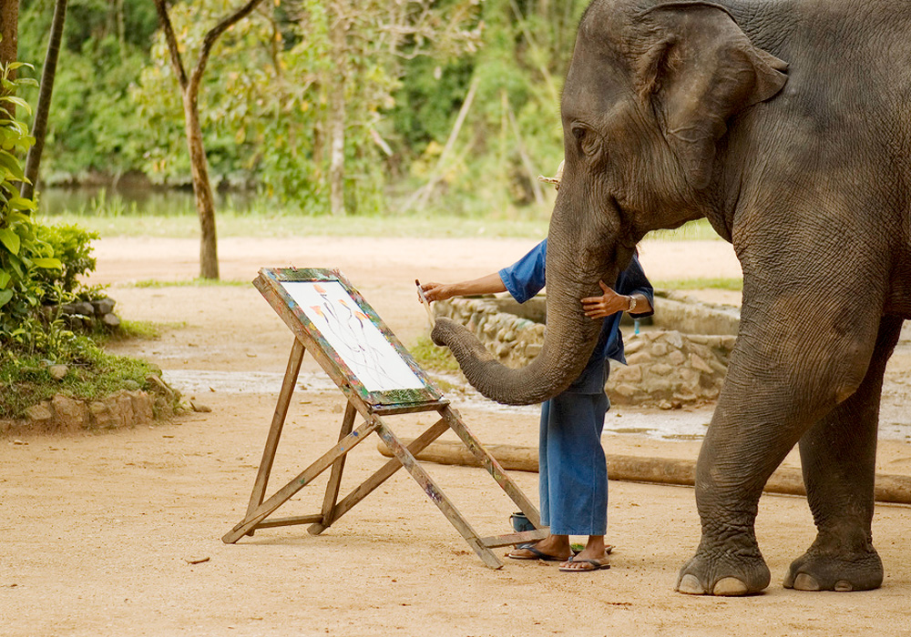 Вилла Maesa Elephant Camp, Чиангмай, Таиланд, Азия