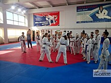 Олимпийский мастер-класс для оренбургских тхэквондистов