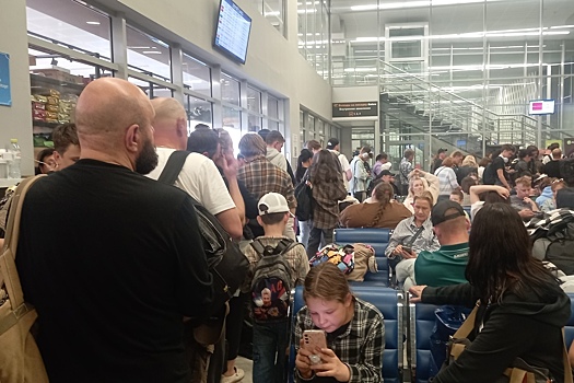 Эксперт объяснил, зачем контрабандисту понадобились чертежи скрипок Страдивари