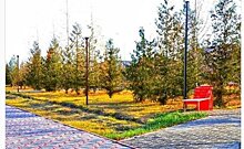 Осенние пейзажи республики: новые посты глав районов Татарстана в "Инстаграме" 8 ноября