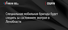 Специальная мобильная бригада будет следить за состоянием экотроп в Ленобласти