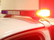 В Свердловской области в лесу найдено тело пропавшей молодой мамы