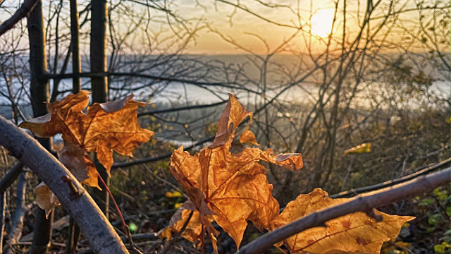 Народные приметы на 16 октября 2024 года: что нельзя делать в этот день