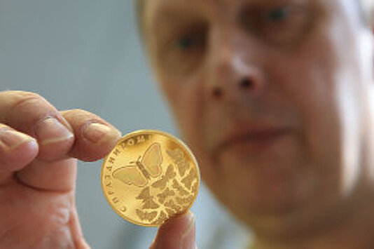 Сохранят ли на Алтае одно из крупнейших золотодобывающих предприятий