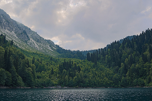 Туристический поезд «Рица» отправится в первый рейс 10 сентября