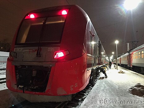 Москвичка в поезде под Тверью украла кошелёк у питерца