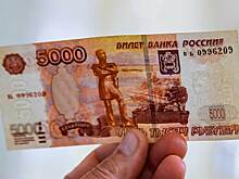 В Новосибирской области обнаружен сбыт фальшивок: полиция ведёт расследование