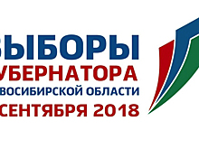 Выборы губернатора пройдут под наблюдением иностранцев