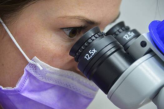 Инфекционист оценил опасность завезенной в Россию лихорадки чикунгунья