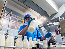 В Новосибирске на 60 суток остановлена работа молочной компании «Милкград»