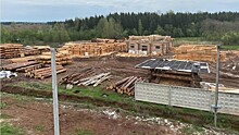 В защитной зоне санатория в Слободском районе работает лесопильное производство и складируют отходы