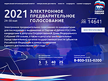 Постановочные праймериз: «Наш земляк» и его массовка