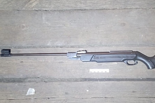 В Алтайском крае школьник случайно застрелил 11-летнюю девочку