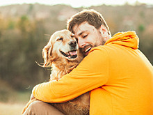 Питомцы лечат сердце и снижают холестерин