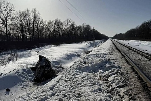 Два человека погибли при столкновении автомобиля с поездом под Брянском