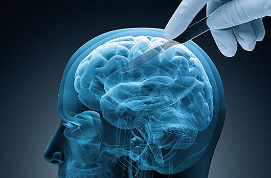 Эксперт рассказал, когда ученые расшифруют мозг человека