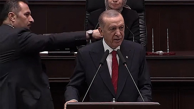Телохранитель Эрдогана убил пчелу, которая напала на него во время выступления