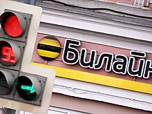 Глава "Вымпелкома" считает целесообразным дальнейшее сокращение салонов