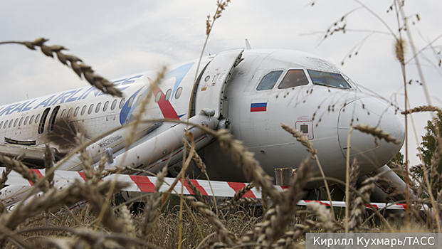 СК: Причиной аварийной посадки самолета под Новосибирском стала нехватка топлива