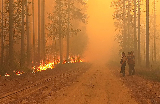 Площадь лесных пожаров в Карелии возросла до 11 тыс. га