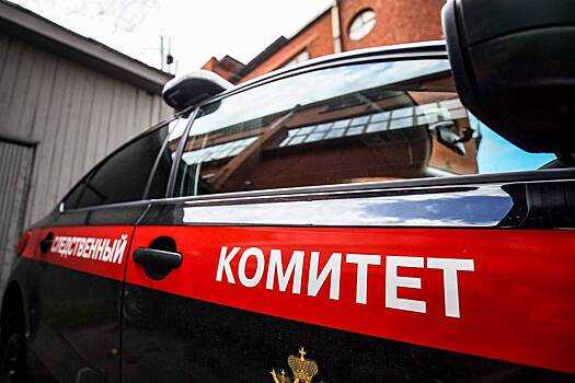 Сотрудники фонда помощи животным попали на допрос из-за нападения на российскую девочку