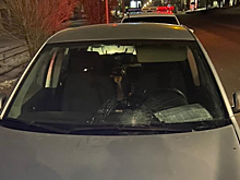 На «зебре» в Саратове водитель «Фольксвагена» сбил девушку