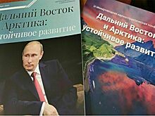 У ямальских опорных городов Арктической зоны отличные перспективы