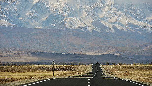 На Алтае обнаружили кости низкорослой древней лошади