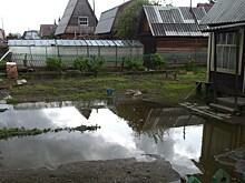 Росреестр: как узнать, каким участкам в Новосибирской области угрожает паводок