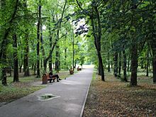 Стало известно, какие парки благоустроят в Челябинской области в 2026 году