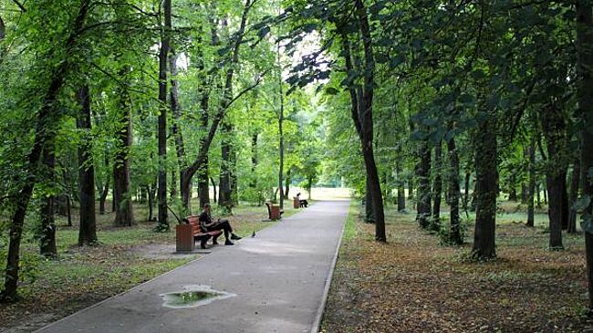 Стало известно, какие парки благоустроят в Челябинской области в 2026 году