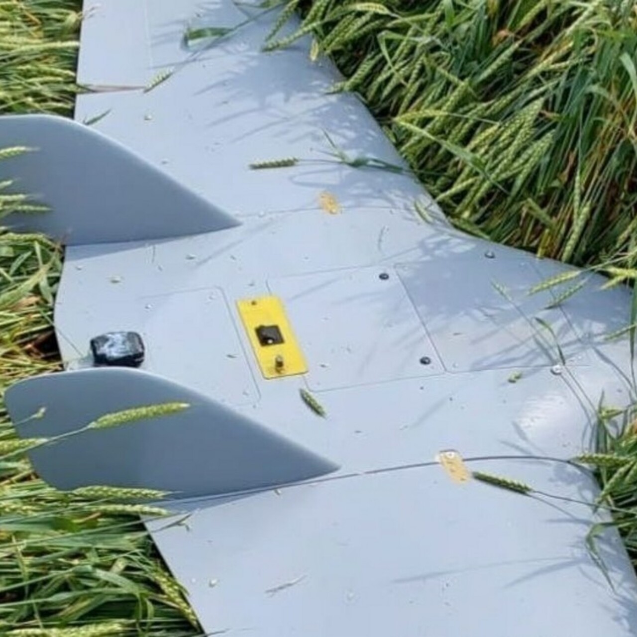 Бпла в сельском хозяйстве. Беспилотник над краснодаром. Беспилотник в краснодарском крае учения. Атака бпла на краснодарский край сегодня. Бпла в сельском хозяйстве.