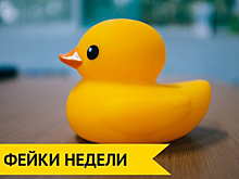 «У вас методичка отклеилась»: сетевые боты на страже фейков