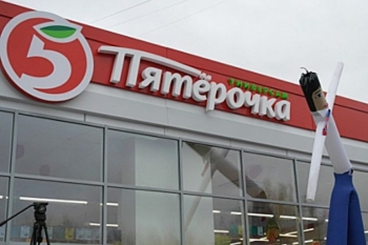 Новгородская сеть бытовой техники закрывает магазины в пяти областях