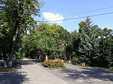 В Самарской области с начала сезона от клещей пострадал 2 741 человек