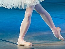 Гала-концерт «Звёзды Петербурга» пройдёт 14 ноября в честь 130-летия Свято-Владимирской школы