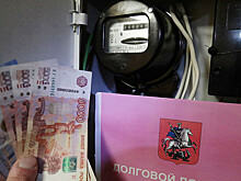 Сенатор Кузьмин предложил разработать в РФ мобильное приложение для оплаты ЖКУ