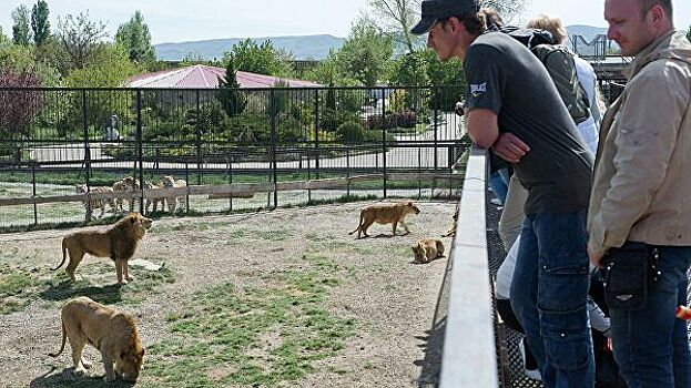 В Крыму устранят нарушения в парке львов "Тайган", сообщили в МЭР