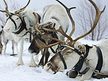 Югорский фотограф стал одним из лучших на фестивале визуальных искусств в Греции