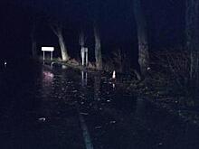 "Audi промчалась на огромной скорости": очевидцы рассказали о смертельном ДТП в Зеленоградском районе