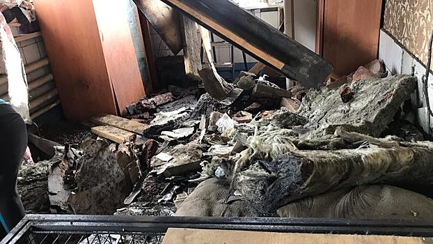 Хозяйка приюта пострадала при взрыве в Кемерово, погибли собаки
