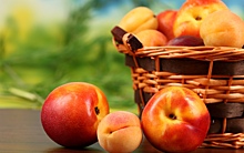 Подмосковный Роспотребнадзор рекомендовал при покупке овощей и фруктов выбирать самые тяжелые плоды