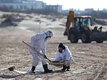 С пляжей Анапы пришли воодушевляющие новости