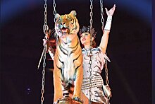 Тигр на шаре и романтика под дождем: новое шоу в Нижегородском цирке