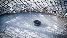 Евгений Дадонов оформил дубль за шесть минут в матче за «Монреаль» в НХЛ