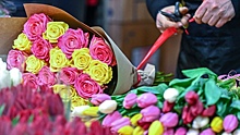 В России ужесточат контроль за поставками цветов из ЕС