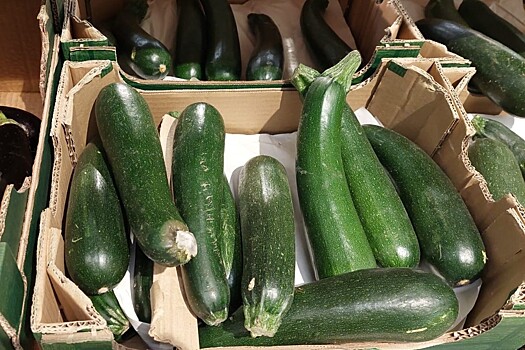 Семь продуктов, которые могут помочь успокоить поджелудочную железу
