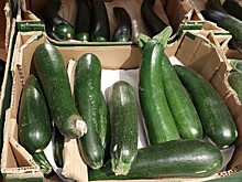 Семь продуктов, которые могут помочь успокоить поджелудочную железу