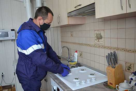 В Воронежской области из-за отказа проводить ТО ВДГО без газа остался 61 абонент