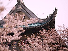 Туроператоры фиксируют ажиотажный спрос на поездки в Японию